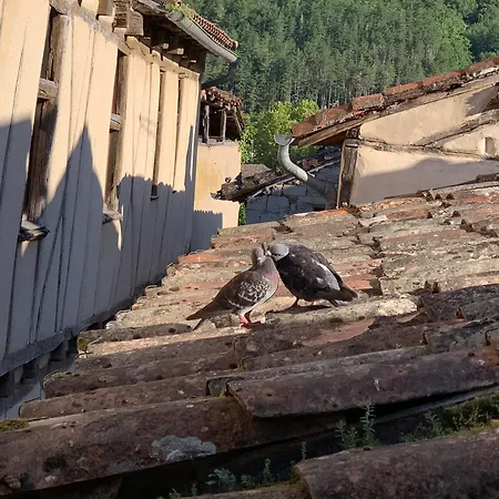 Maison Du Roy / Royal Chambers