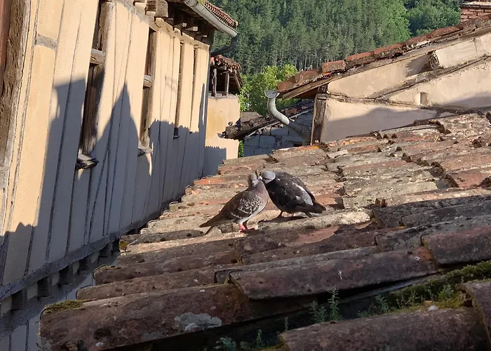 Maison Du Roy / Royal Chambers