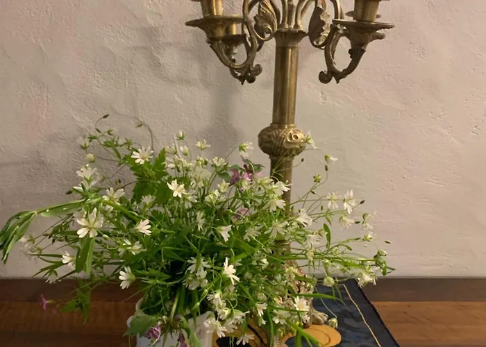 Apartmán Maison Du Roy / Royal Chambers